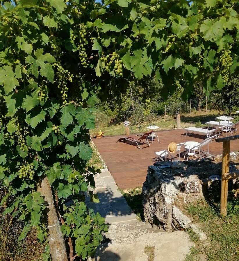 Quercegrossa B&B Casagrande المظهر الخارجي الصورة